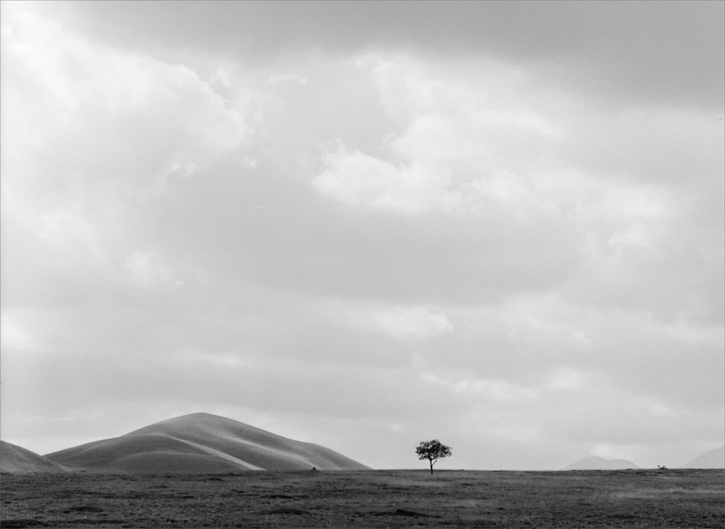 ai confini della realt�