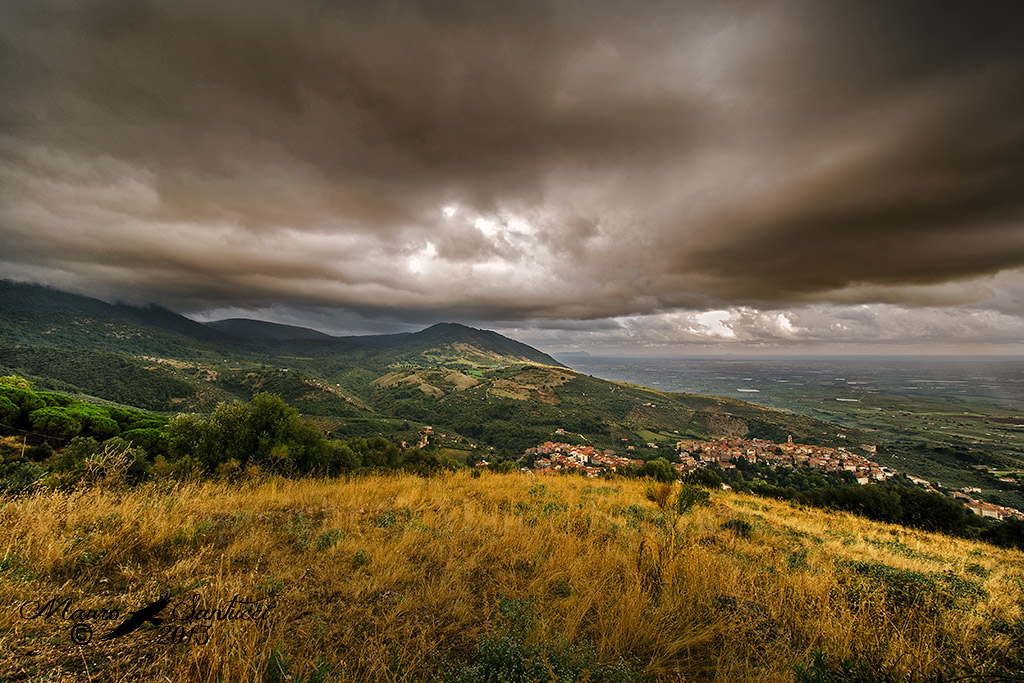 Nulla di promettente