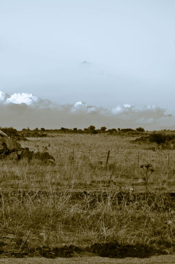 Salta e corri verso il cielo