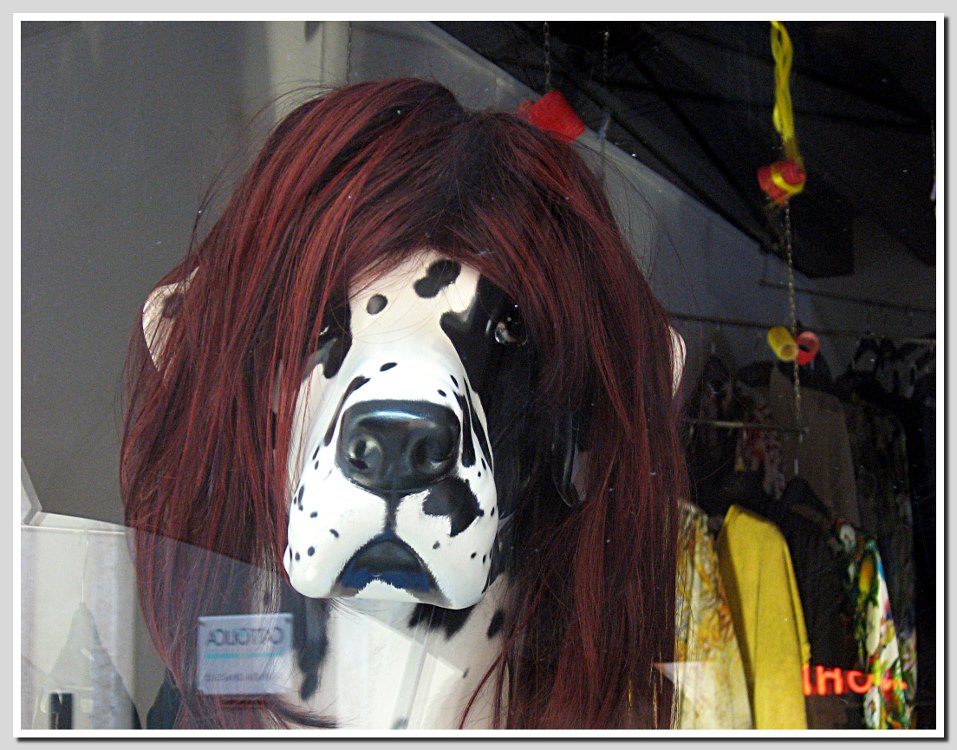 vestire da cani