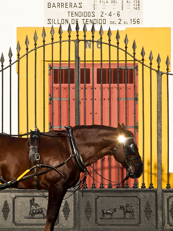 Sevilla - Plaza de Toros