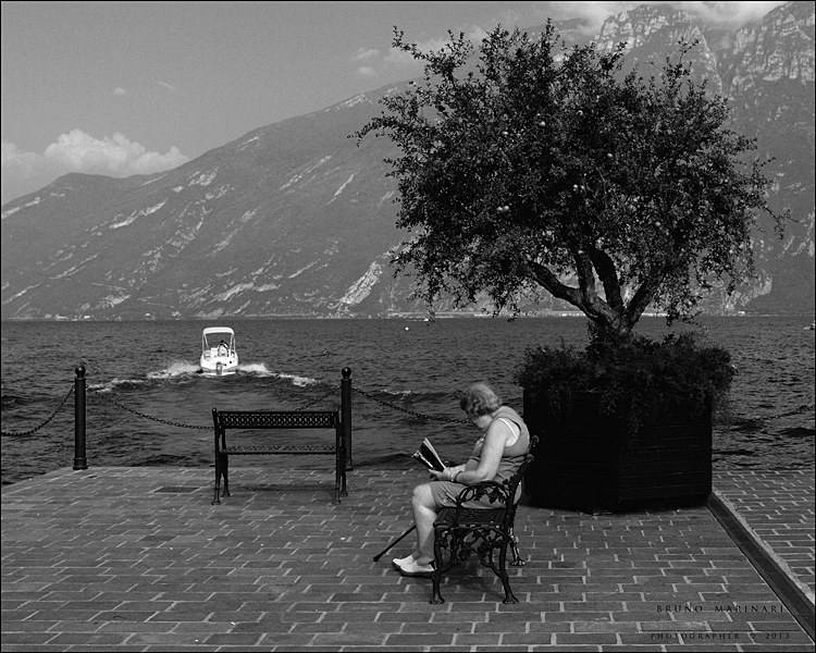 Lettura in riva al lago