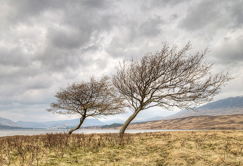 Thinking to Scotland