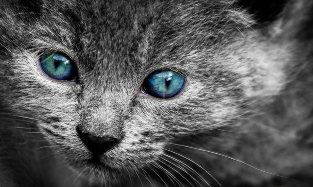 Primo scatto postato