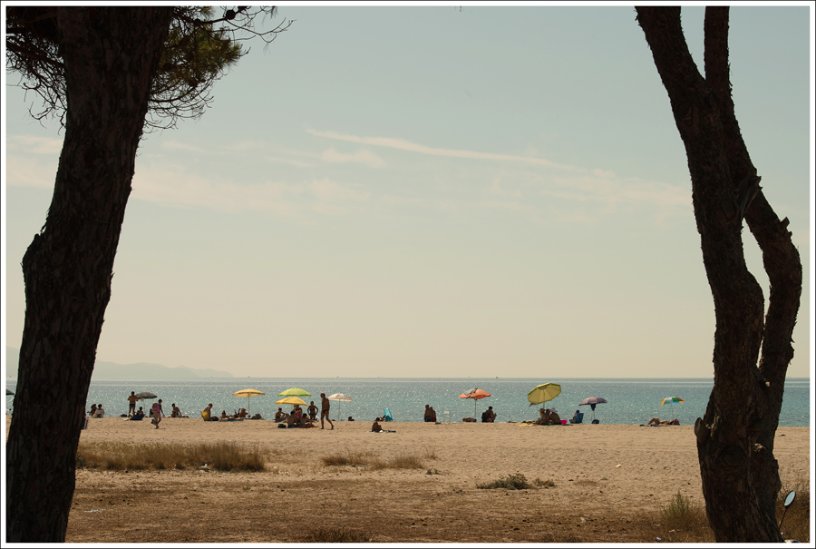 Presenze...e un mare lontano.