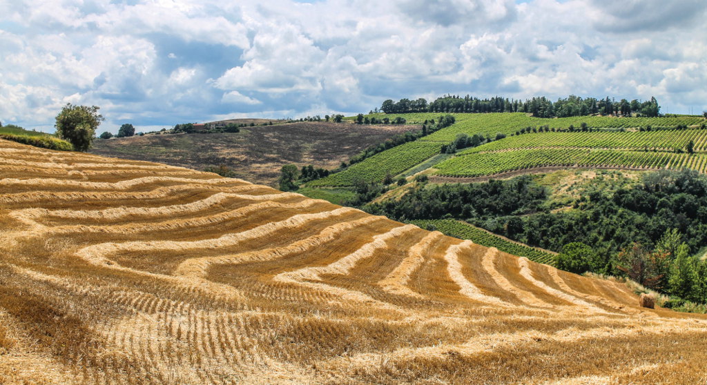 Countryside landscape