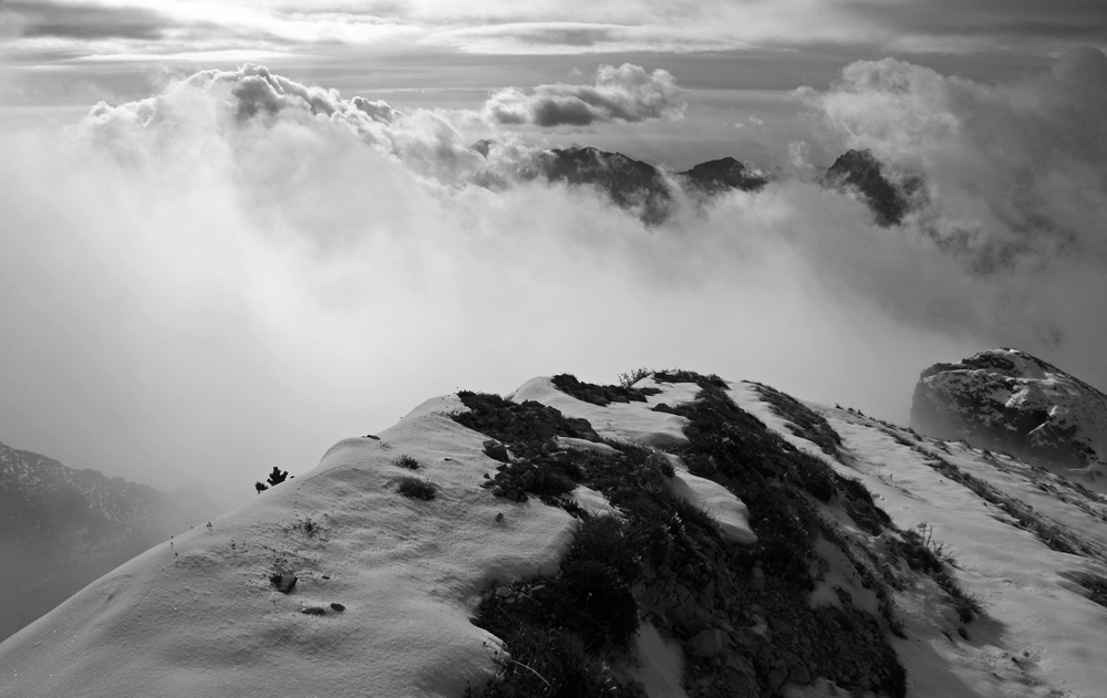 Monte Obante, sulla cresta finale