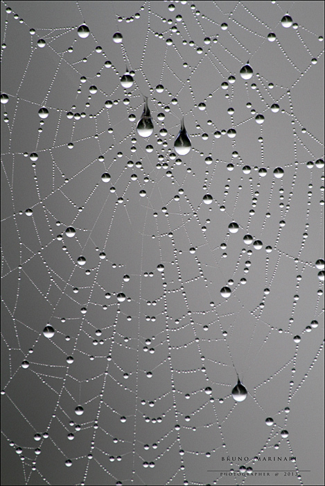 Il pianto della tela