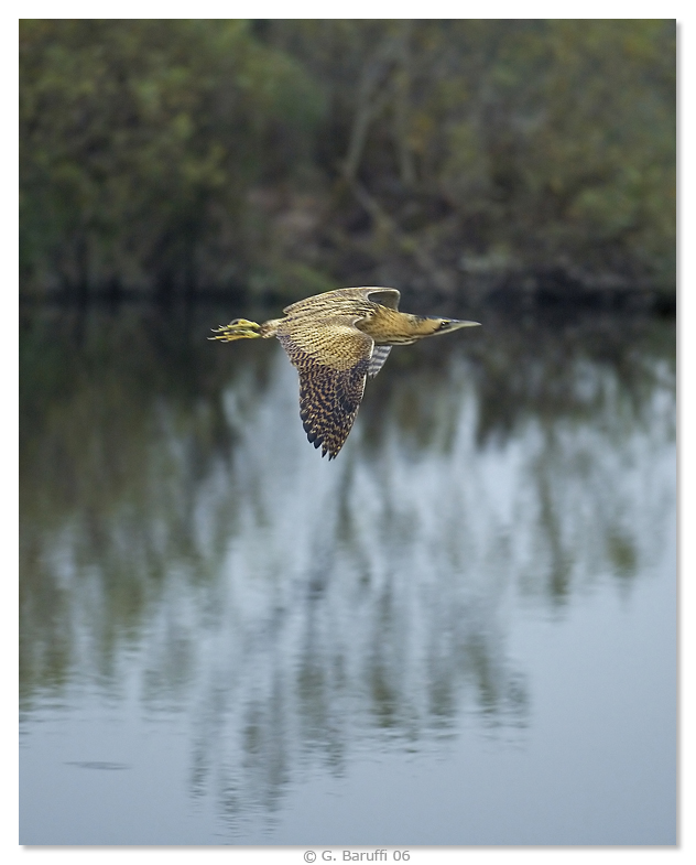 Questa � una cattura difficile: il fantasma...