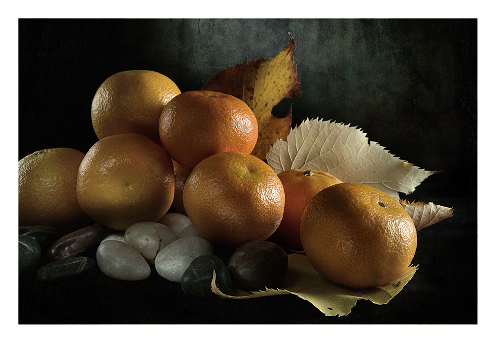 Toni caldi su fondo scuro