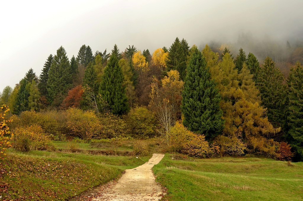 La strada verso l'inverno