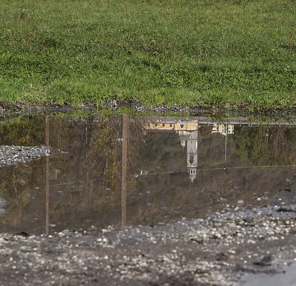 Anche nel fango c�� un riflesso della bellezza�.