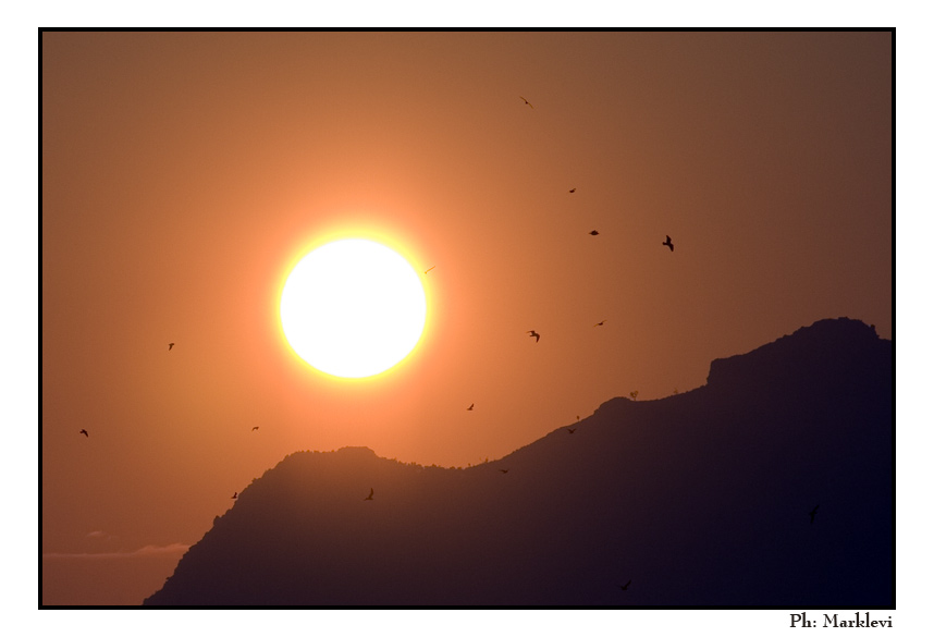 volare verso il sole