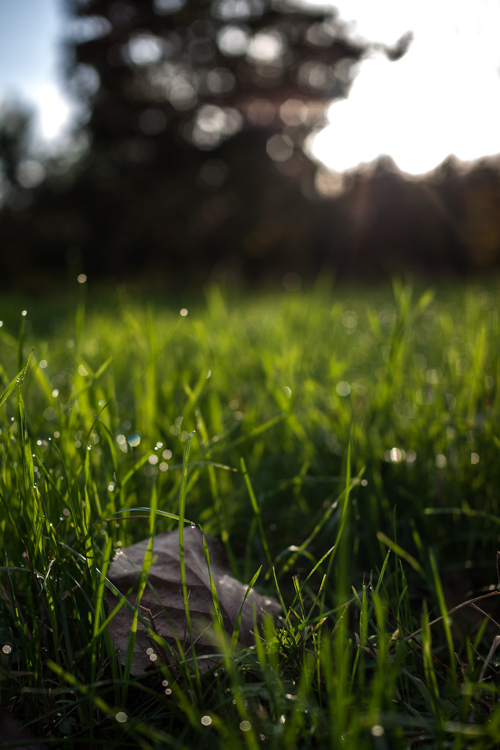 E' ora di riposare...