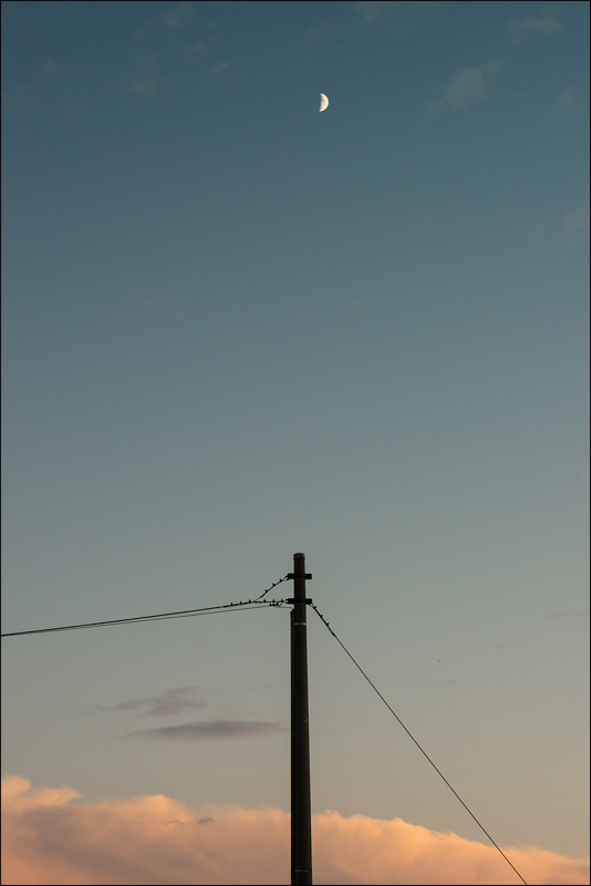 Tra fili...e uno spicchio di luna...