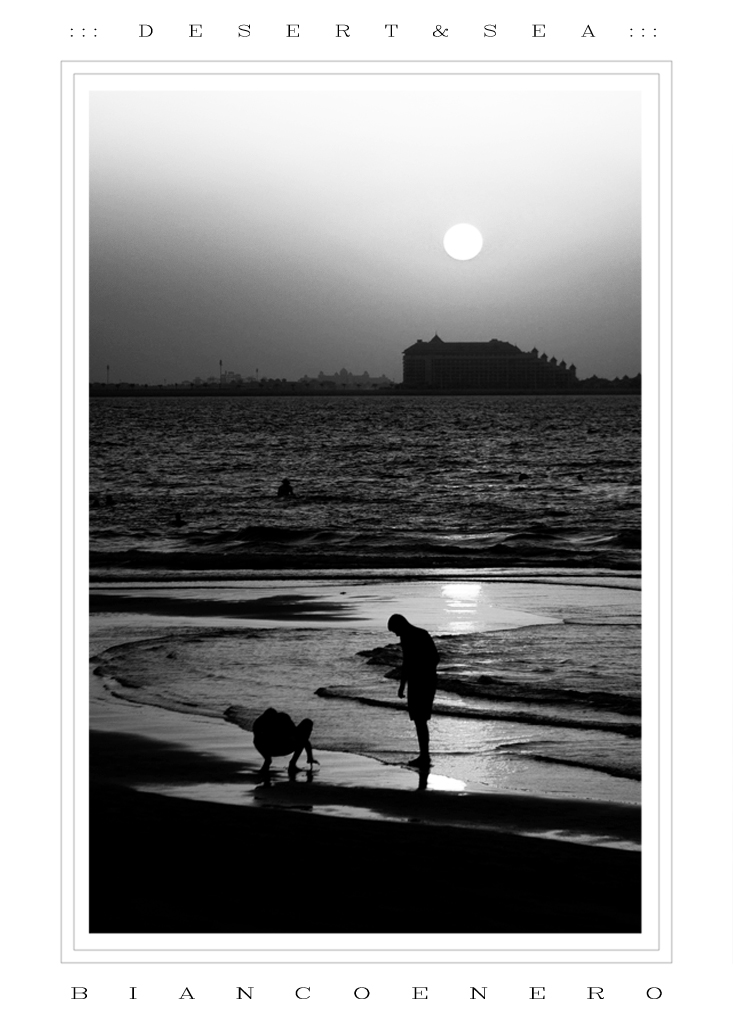 ::: D E S E R T & S E A :::