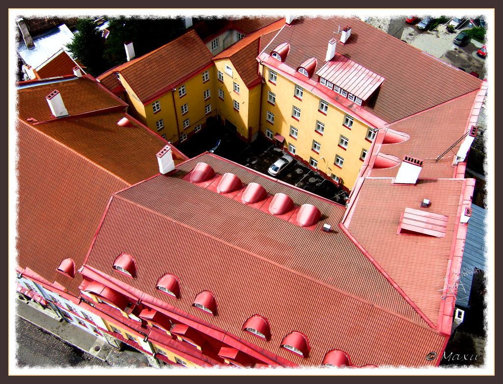 I tetti di Tallinn