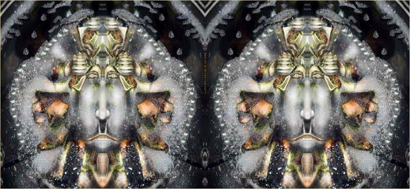 Composizione di ossa � 2013