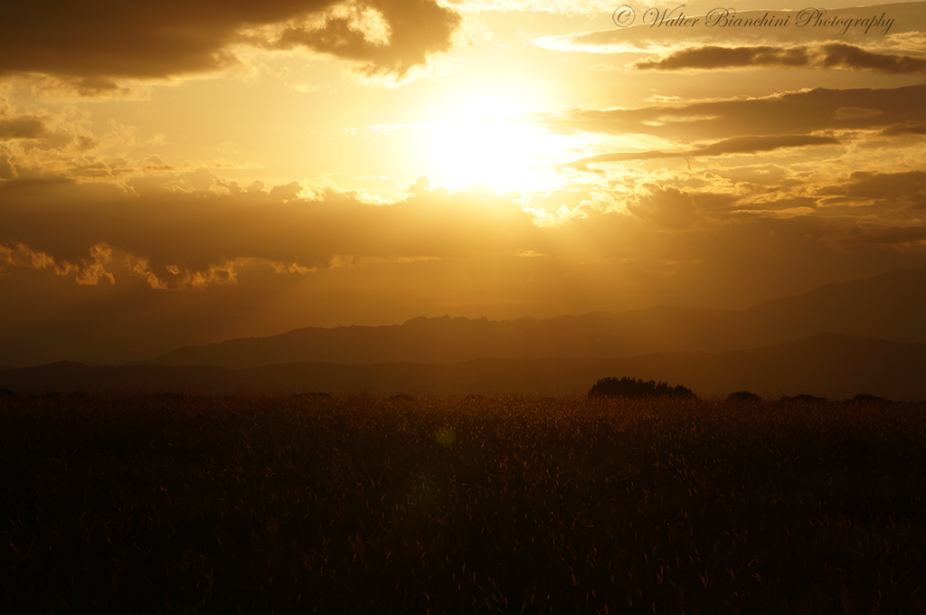 tramonto sulla savana