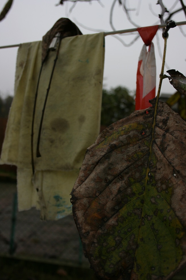 Autunno in patchwork