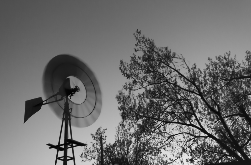 The answer my friend...