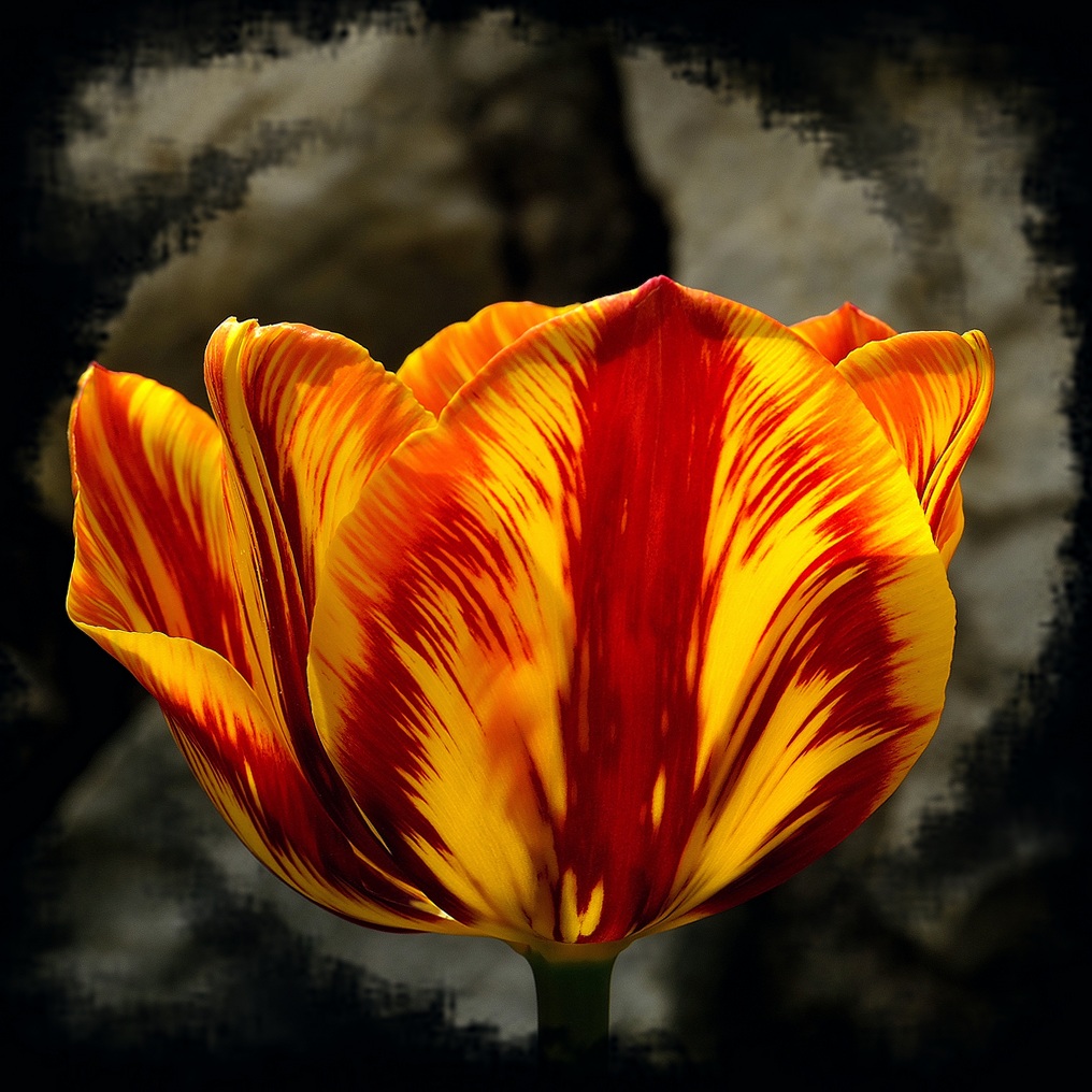 giocando con la pp in un giorno di pioggia