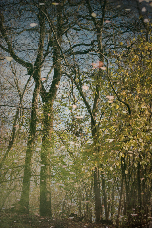 Cadendo...in un riflesso