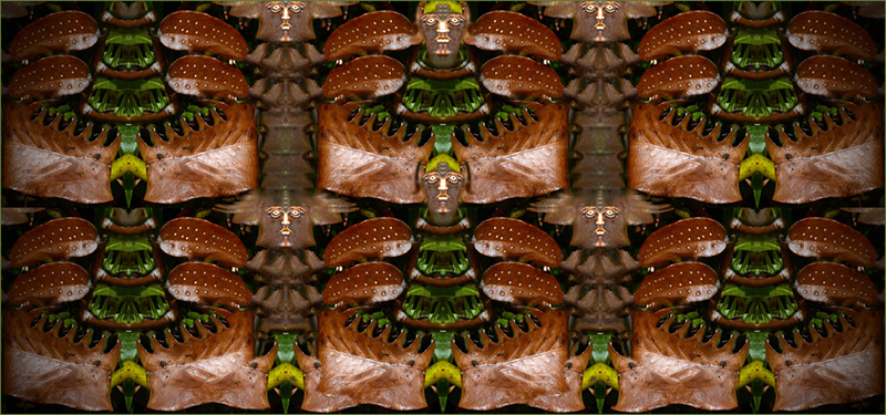 Foglie di alloro � 2013