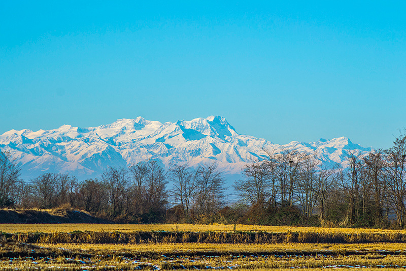 Risaie e cime innevate