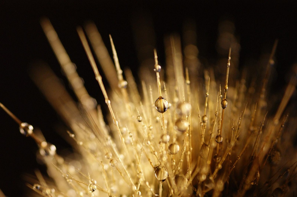 Come infilzare una goccia d'acqua...