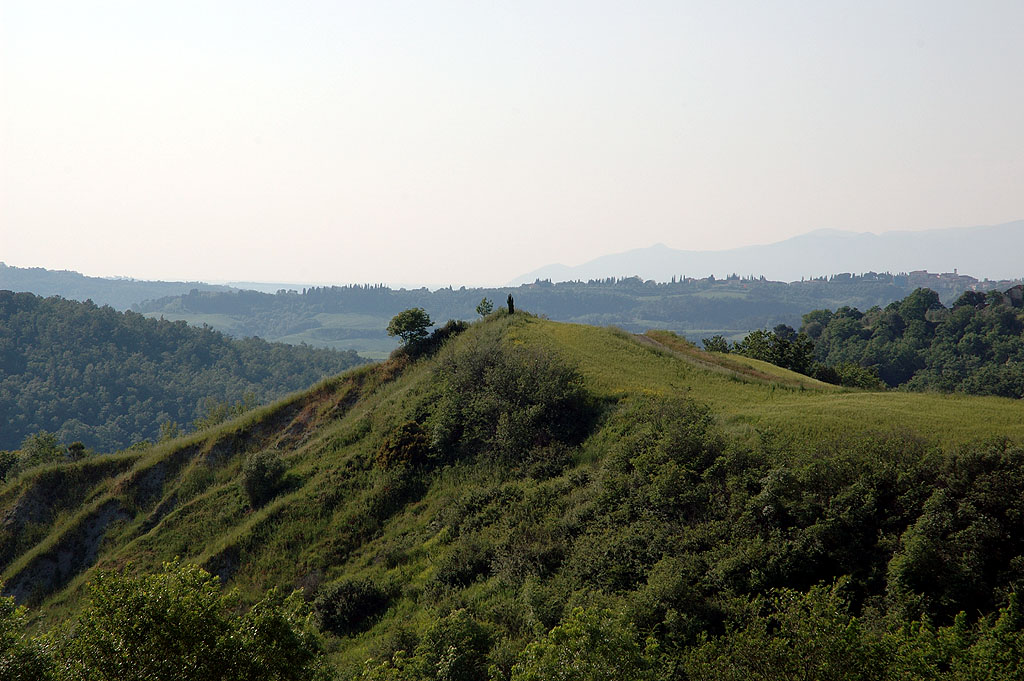 che pace, immersi nella natura...