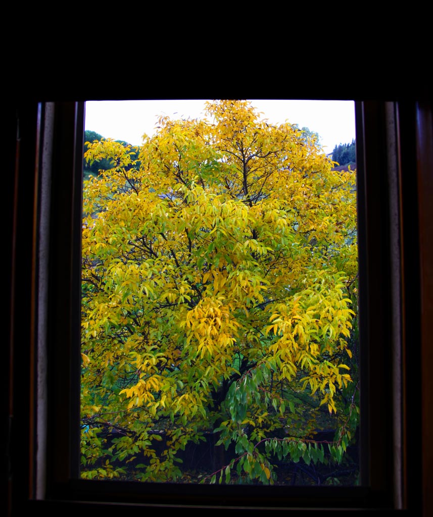 Dalla finestra: l' Inverno a colori