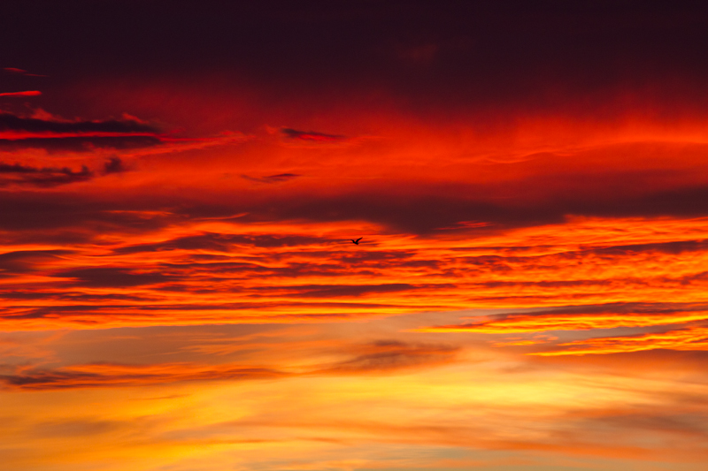 il sogno dell'estate