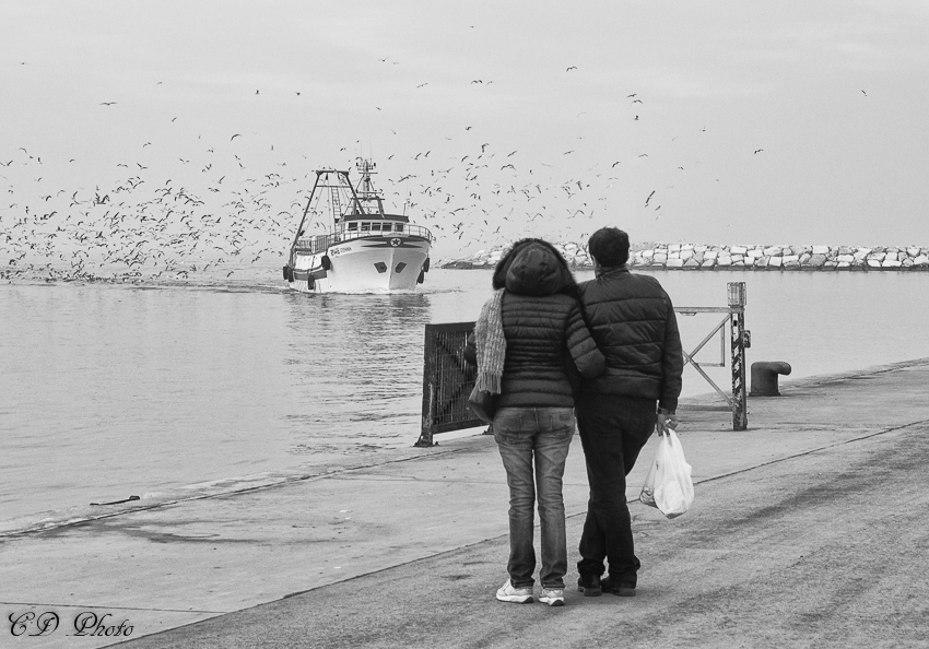 Ammirando insieme...