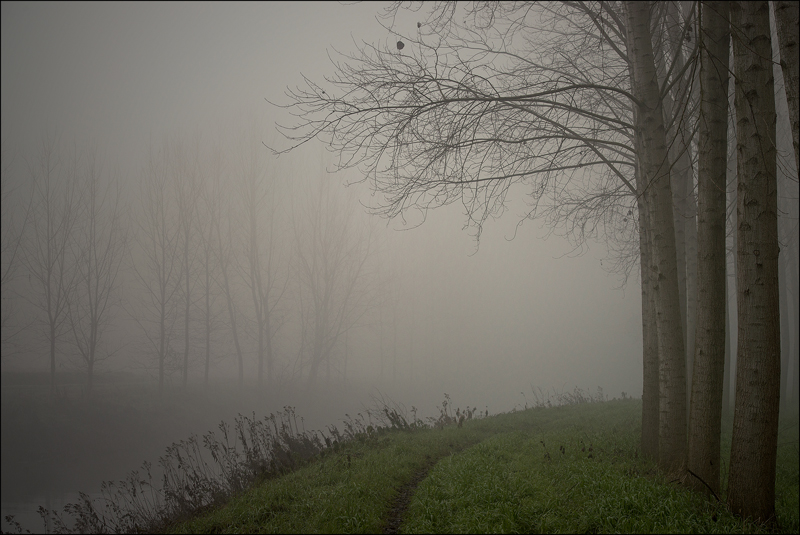 ...solo il rumore dei passi...