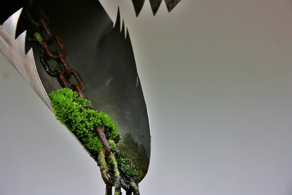 Nella bocca del drago