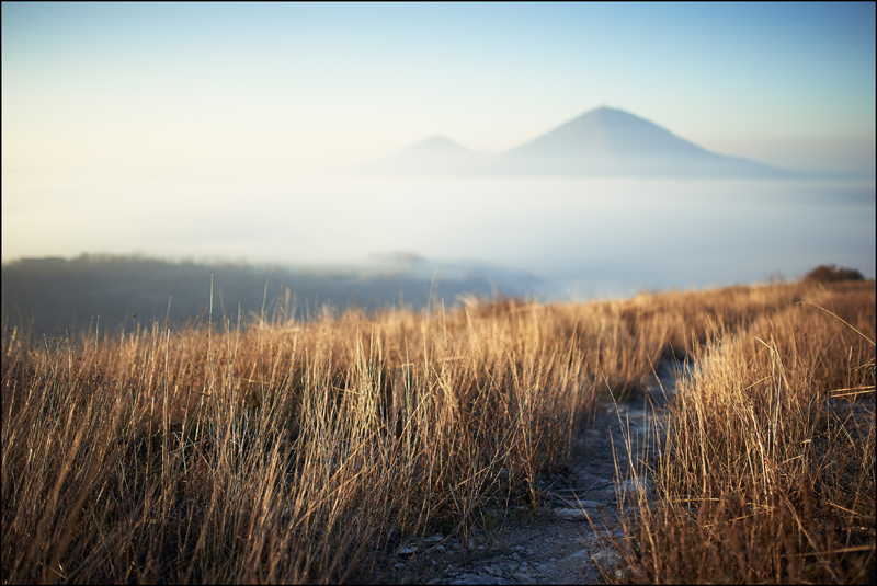 Colli Euganei. Nebbia in pianura.
