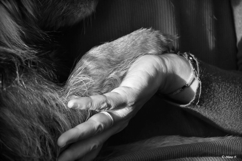 .........un legame inscindibile.