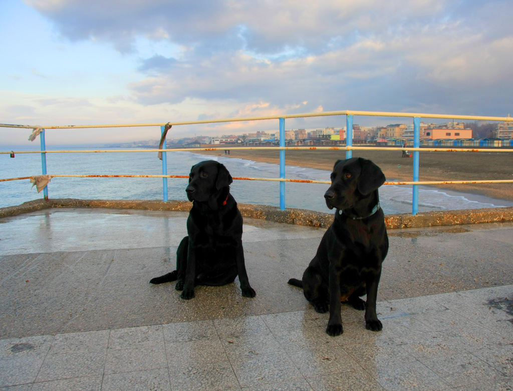 Guardando il mare...