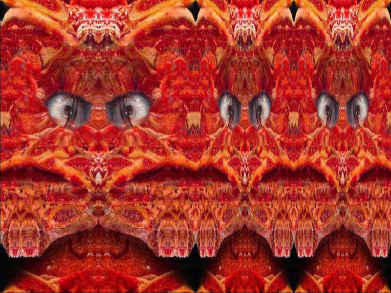 oltre la tracciabilita'