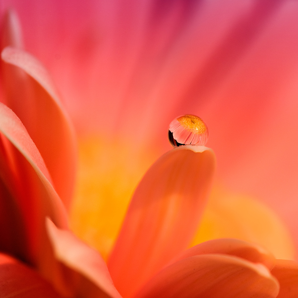 dentro.. il riflesso..