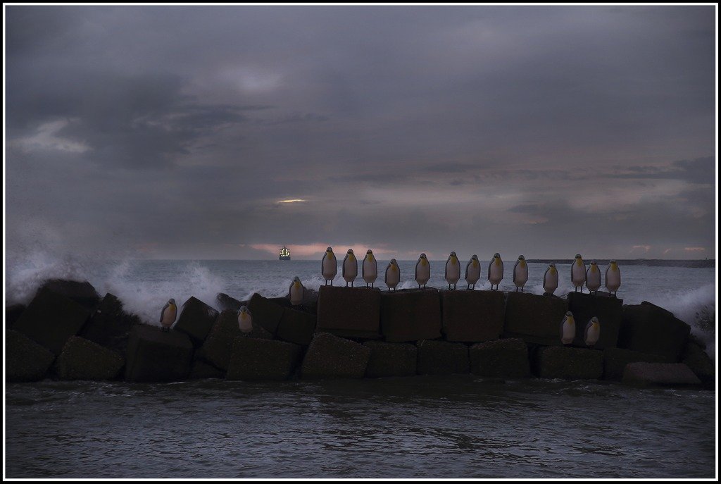 La mia passeggiata di Natale