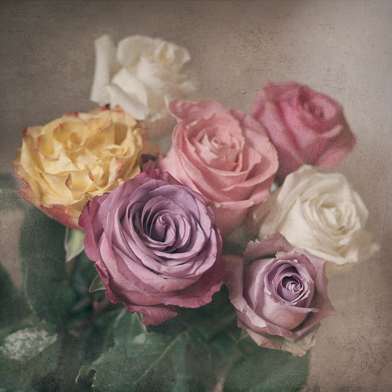 United Colors of 2014