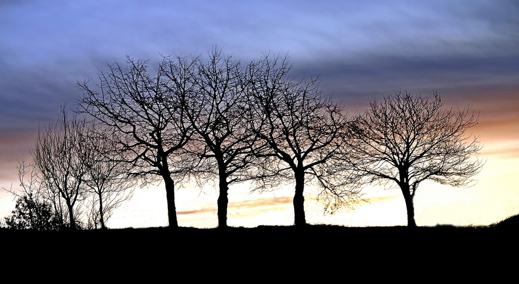 Abbracci di Capodanno