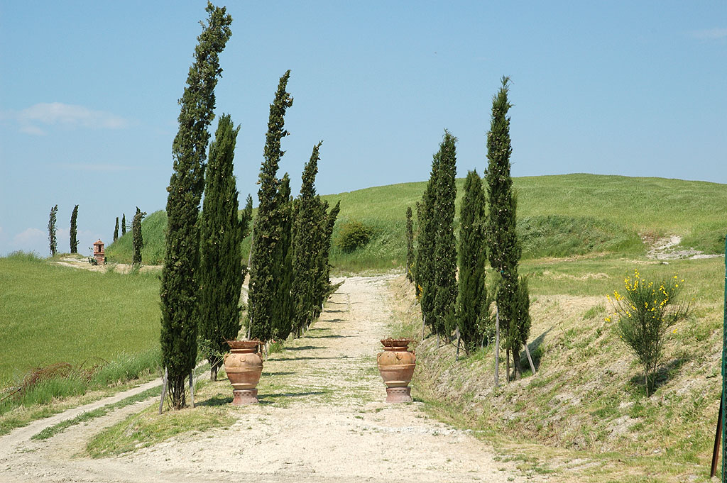 che splendido viale...