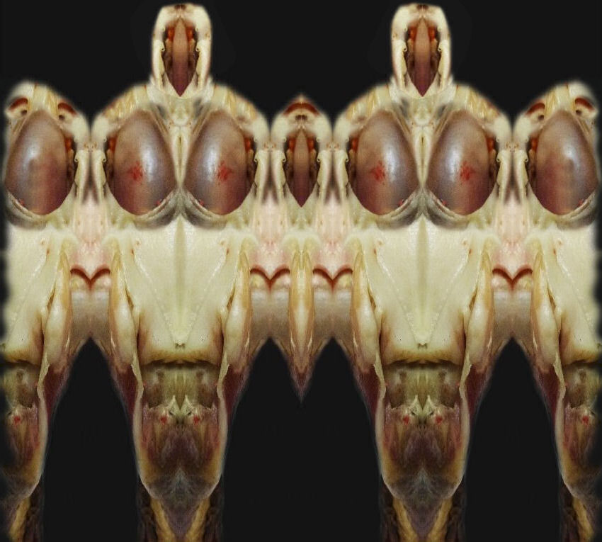 di fronte.... di spalle