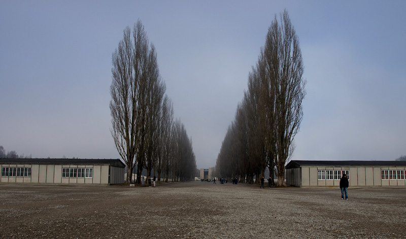 dachau 6