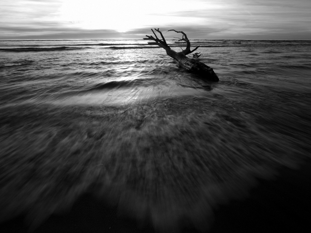 l'Ultima foto prima del tramonto...