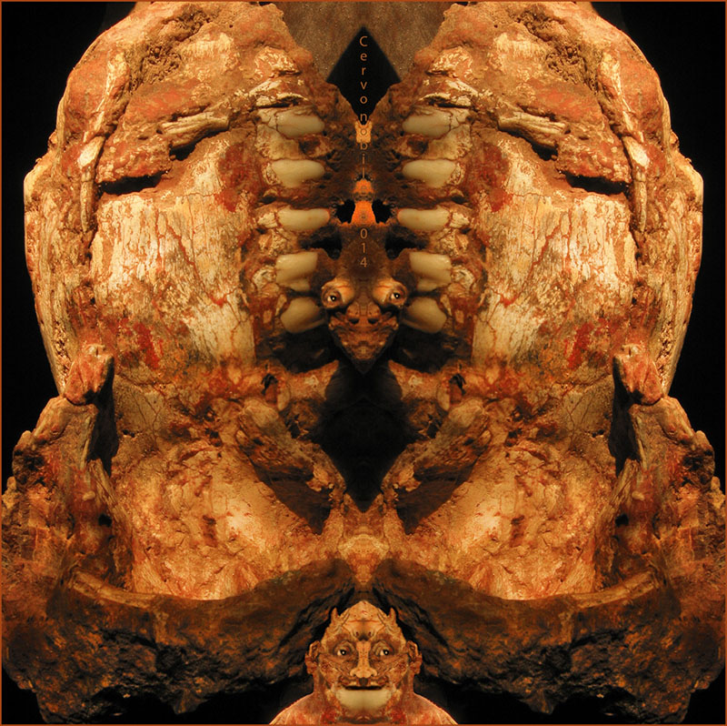 Cervo Nobile � 2014