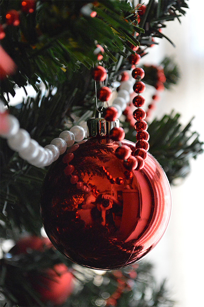 Ci� che resta del Natale...